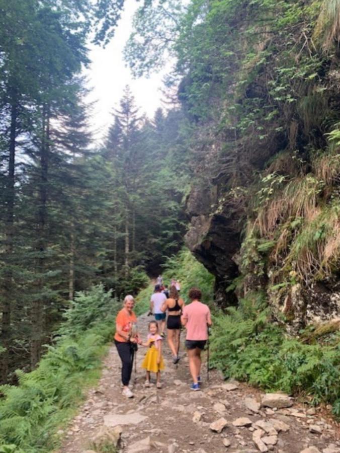 Appartement Tres Agreable Dans Belle Residence, Classe 3 Etoiles Par Le Comite Departementale Du Tourisme En Haute Garonne Bagnères-de-Luchon Exteriör bild