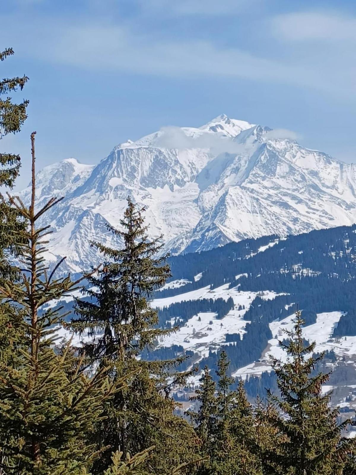 Appartement Tres Agreable Dans Belle Residence, Classe 3 Etoiles Par Le Comite Departementale Du Tourisme En Haute Garonne Bagnères-de-Luchon Exteriör bild